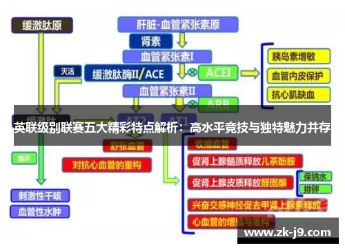 英联级别联赛五大精彩特点解析：高水平竞技与独特魅力并存